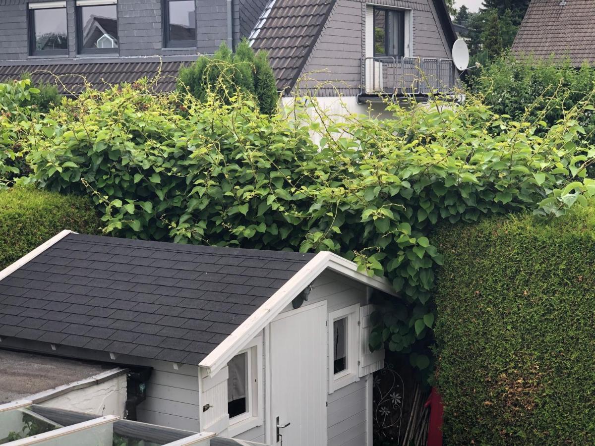 哈恩Bel Art Etage Mit Grossem Parkplatz公寓 外观 照片